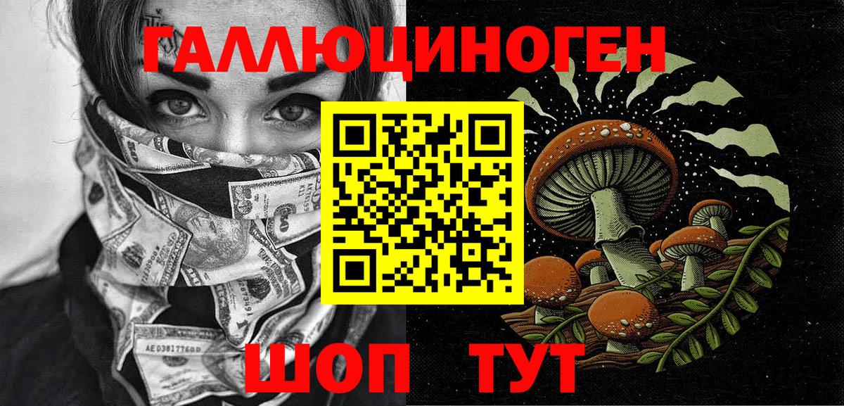 Гусь-Хрустальный  Галлюциногенные грибы мицелий  купить   Вход с VPN  Псилоцибиновые грибы Psilocybe 